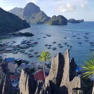 Meet your Posher, Irene